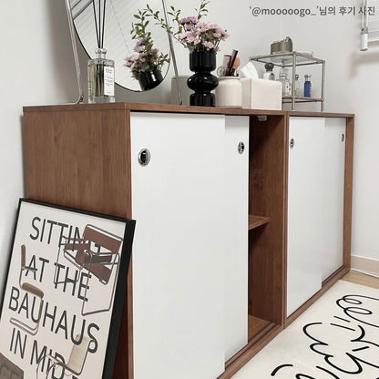 Sliding Door Storage Cabinet