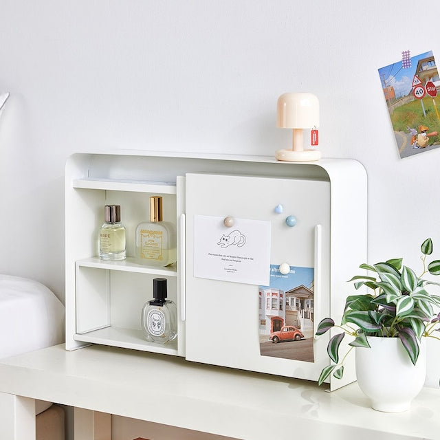 Slim Sliding Metal Storage Organizer