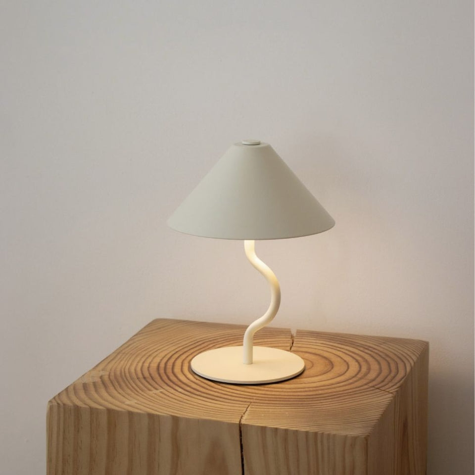 Fig Steel Portable Lamp